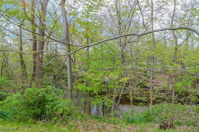 view of landscape with a wooded view