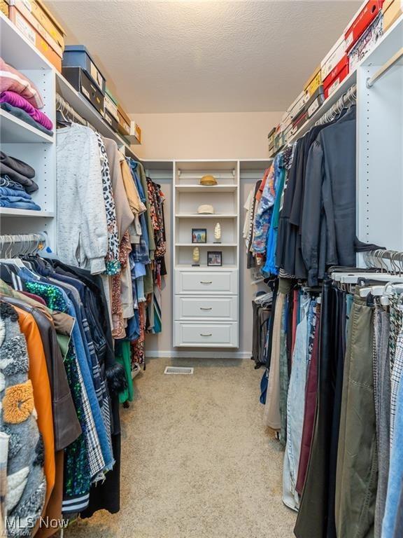 spacious closet featuring carpet floors