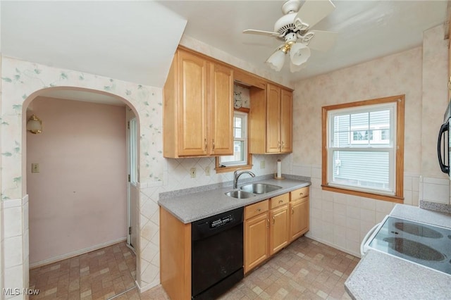 kitchen featuring a sink, arched walkways, a healthy amount of sunlight, and dishwasher