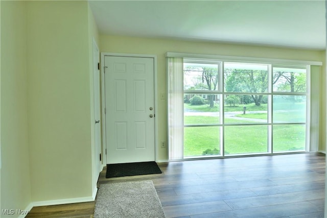 5071 Copeland Ave NW, Warren, OH 44483 - doorway to outside with baseboards, plenty of natural light, and wood finished floors
