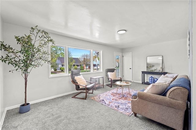 living area featuring baseboards and carpet