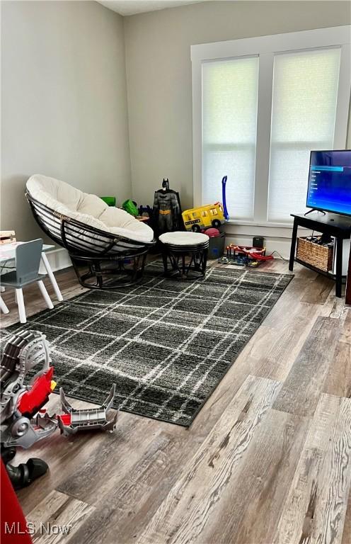 living area featuring wood finished floors