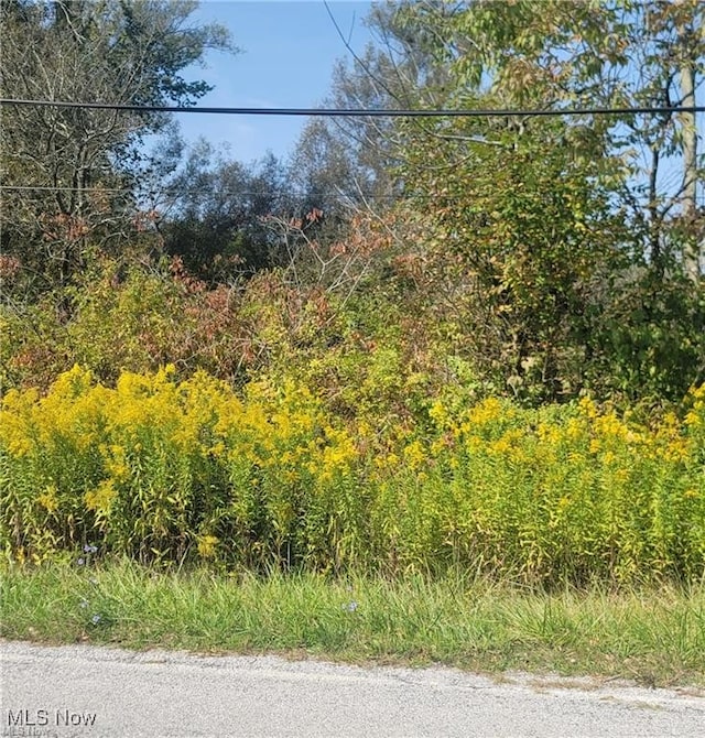 Hartville Rd N, Atwater, OH 44632 - photo 1