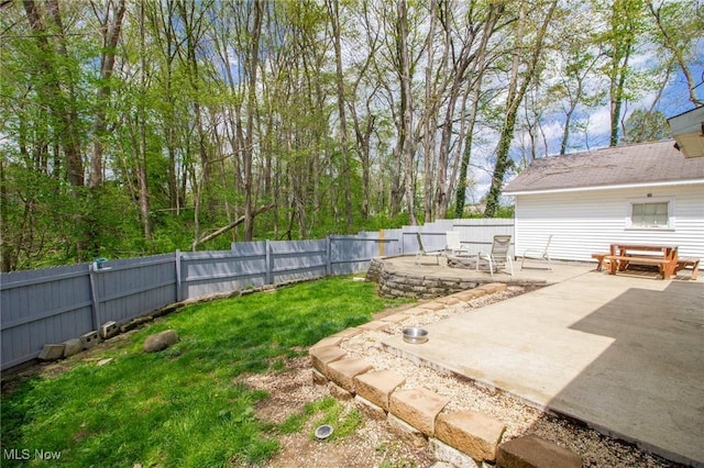 view of yard featuring a fenced backyard and a patio area