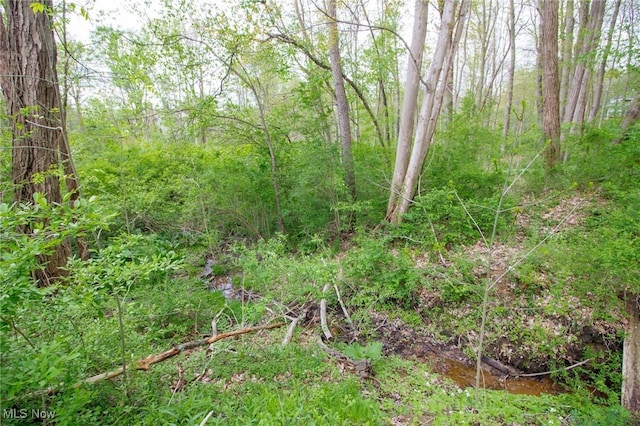 view of landscape with a wooded view