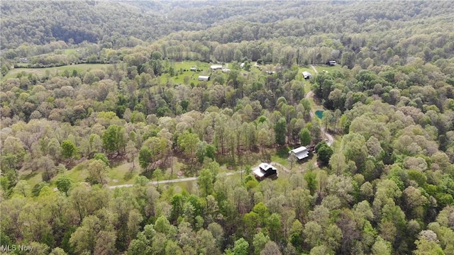 1273 Shortcut Rd, Friendly, WV 26146 - photo 37