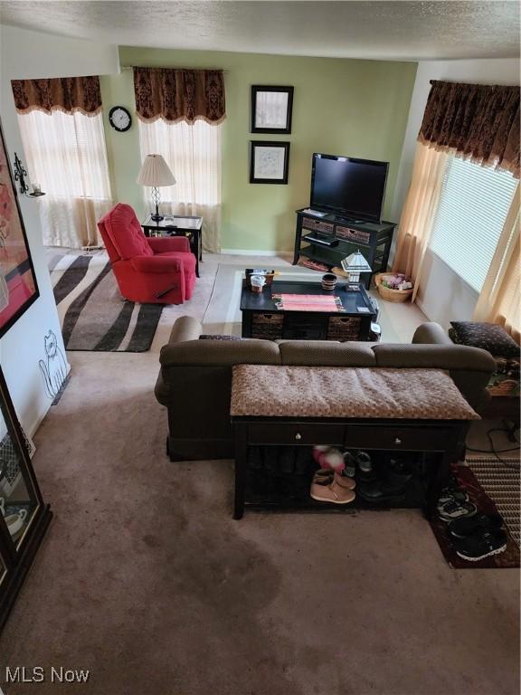 864 Davies Ave, Akron, OH 44306 - carpeted living area featuring a textured ceiling