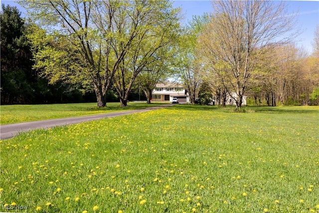 6003 Kingsville, Cortland, OH 44410 - photo 4