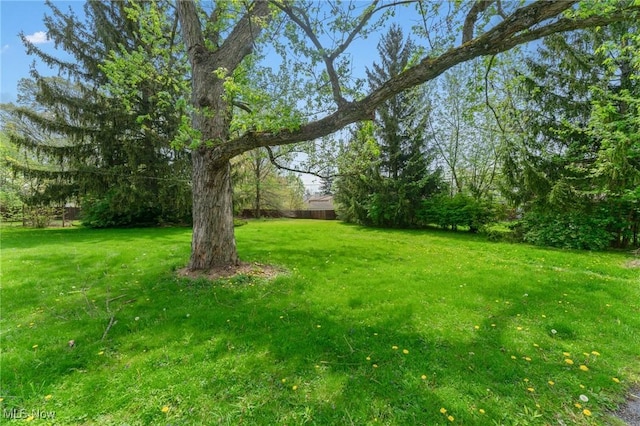 1536-1548 Montclair St NE, Warren, OH 44483 - view of yard