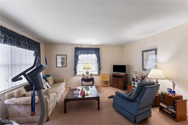 1536-1548 Montclair St NE, Warren, OH 44483 - view of carpeted living room
