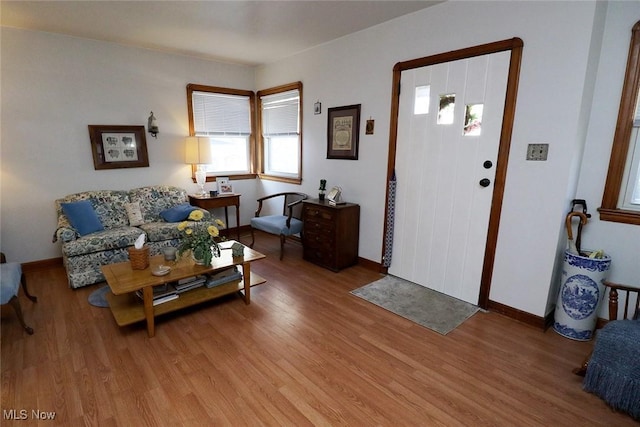entryway with baseboards and wood finished floors