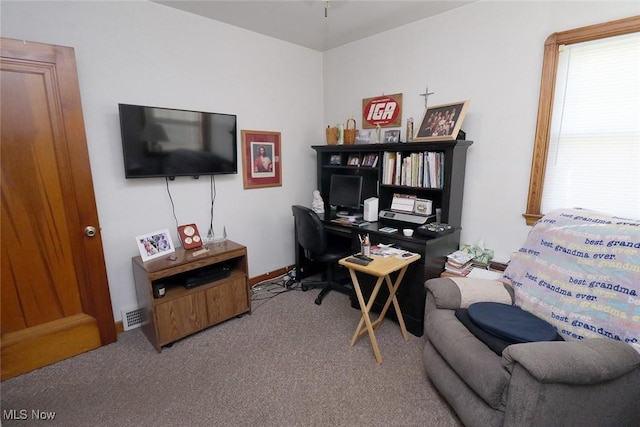 office with carpet floors