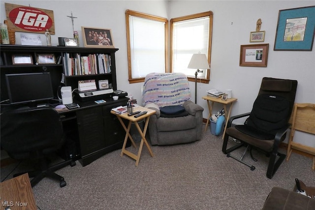 view of carpeted home office