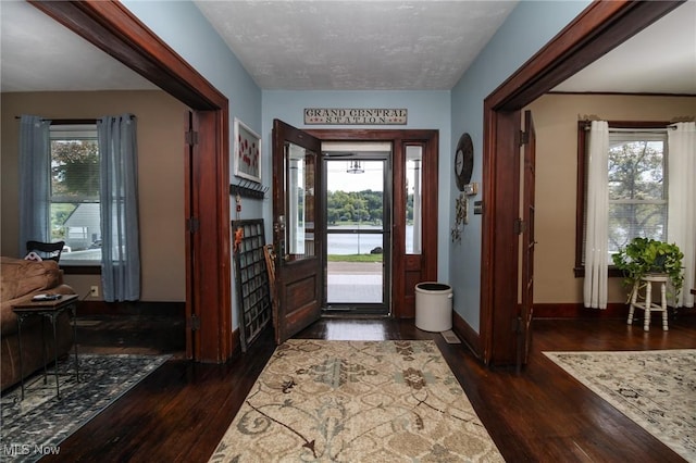 entrance foyer featuring plenty of natural light, dark wood-style flooring, a water view, and baseboards