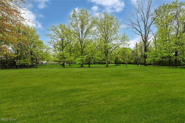 view of yard