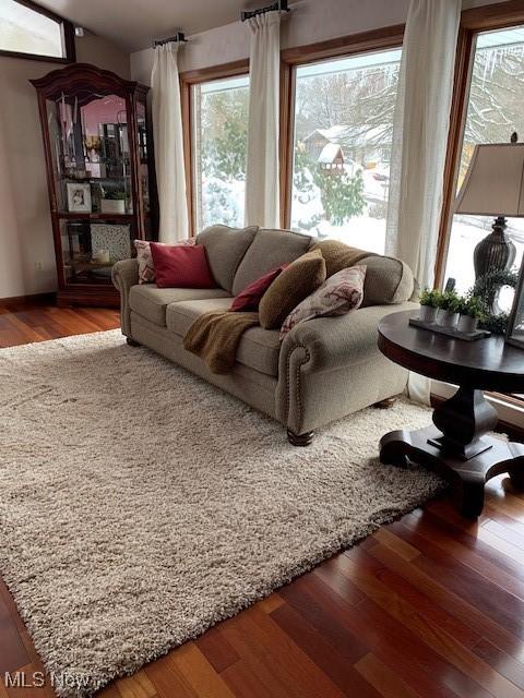living area featuring wood finished floors