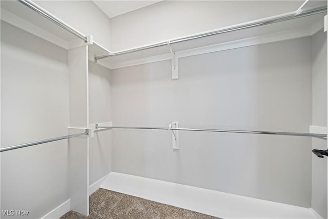 spacious closet with carpet floors