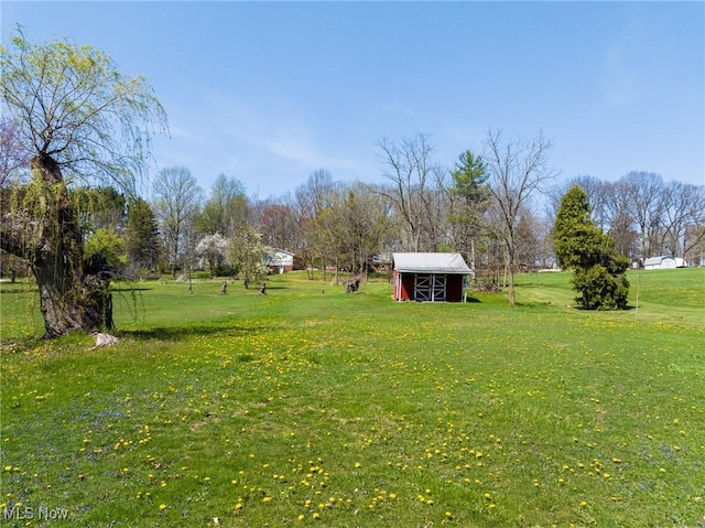 4820 Alabama Ave SW, Navarre, OH 44662 - view of yard with an outbuilding and a storage shed