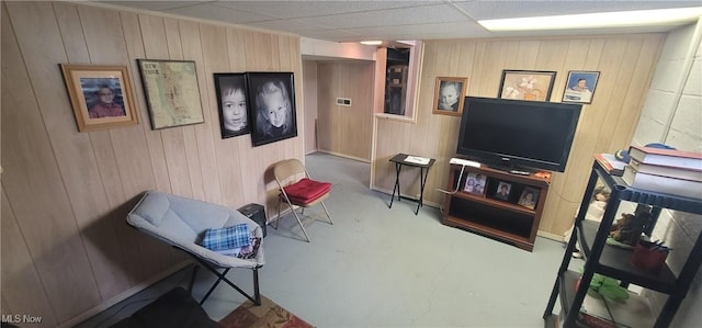 living area featuring wood walls and concrete floors