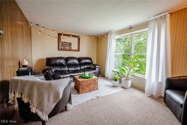 4991 Walnut St, Sugarcreek, OH 44681 - living room featuring a textured ceiling, light carpet, and wooden walls