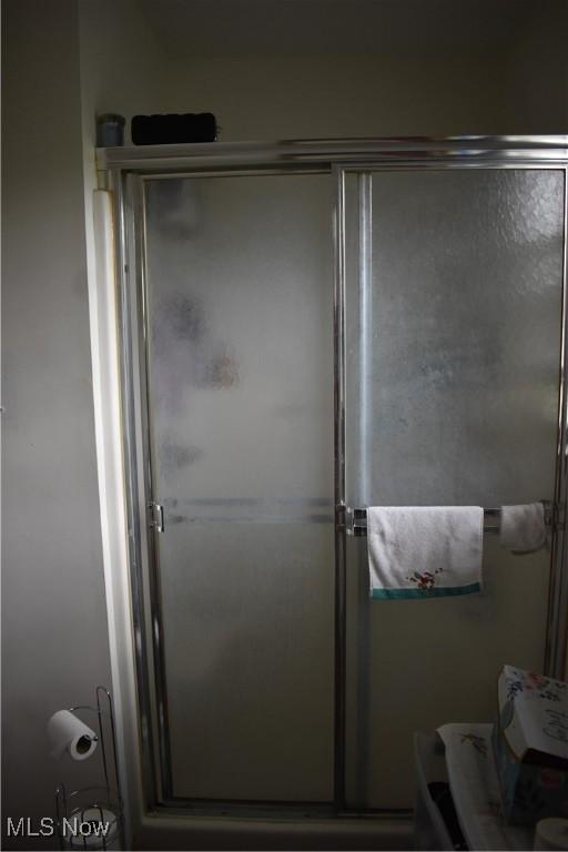 bathroom with a shower stall