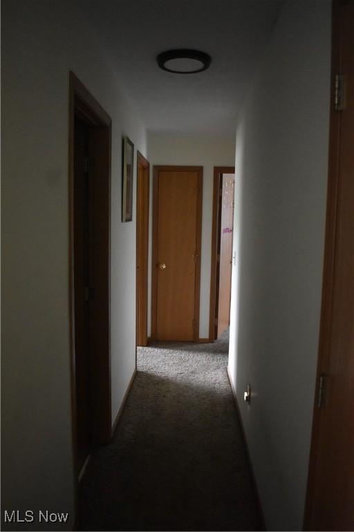 hall featuring carpet