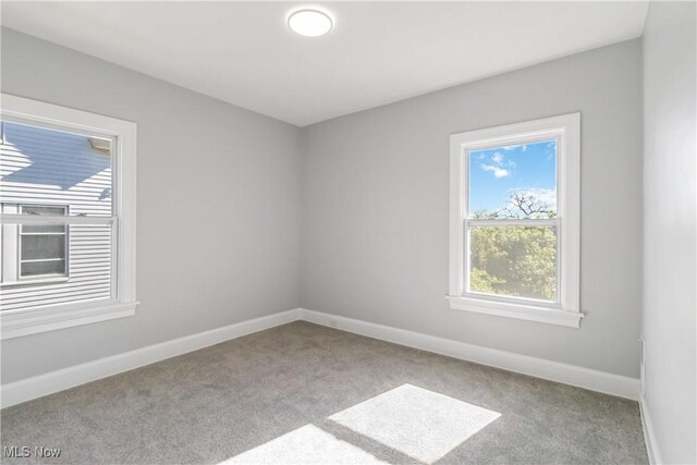 3135 W Blvd, Cleveland, OH 44111 - photo 24