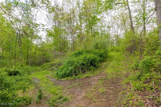 4661 Sugar Grove Rd, Cambridge, OH 43725 - view of nature featuring a wooded view