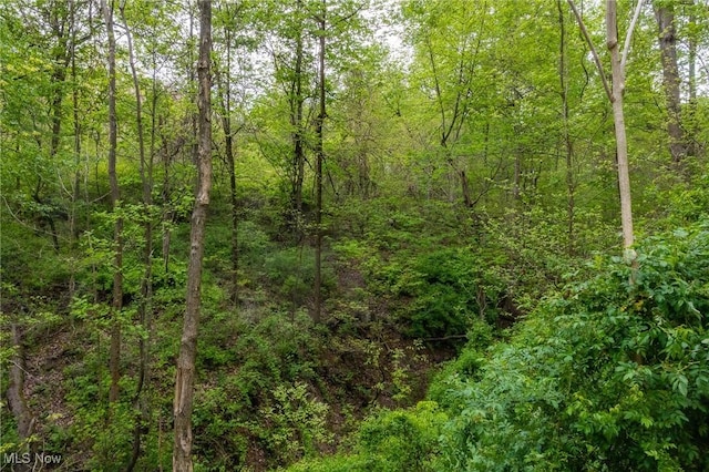 4661 Sugar Grove Rd, Cambridge, OH 43725 - view of landscape with a wooded view