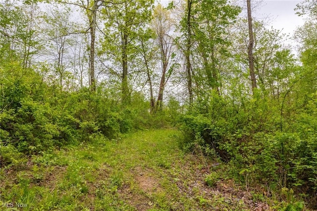 4661 Sugar Grove Rd, Cambridge, OH 43725 - view of landscape with a forest view