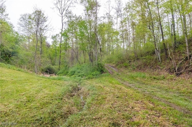 4661 Sugar Grove Rd, Cambridge, OH 43725 - view of nature featuring a wooded view