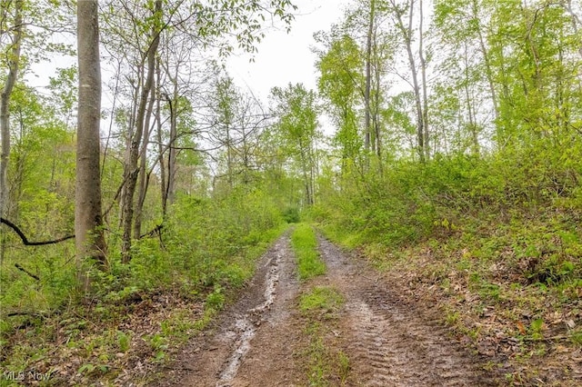 4661 Sugar Grove Rd, Cambridge, OH 43725 - view of street featuring a view of trees
