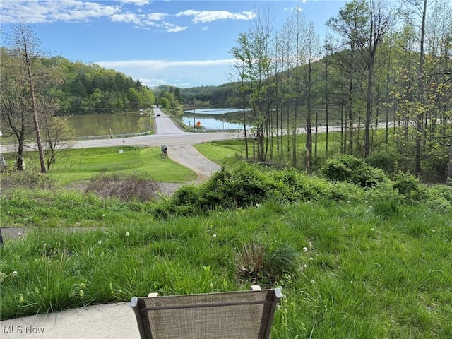 37080 Penrose Ln, Cadiz, OH 43907 - view of yard with a water view and a wooded view