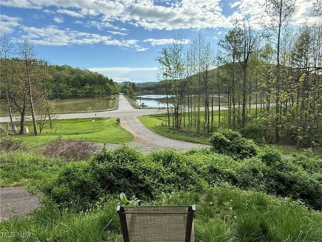 37080 Penrose Ln, Cadiz, OH 43907 - surrounding community featuring a water view and a forest view