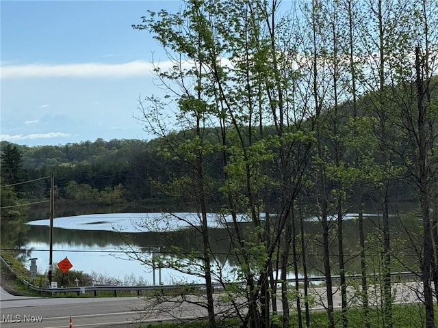 37080 Penrose Ln, Cadiz, OH 43907 - water view with a forest
