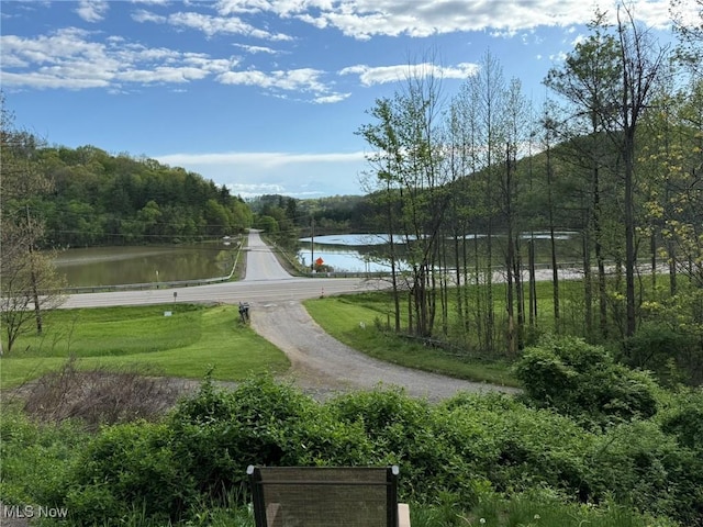37080 Penrose Ln, Cadiz, OH 43907 - view of property's community featuring a water view and a forest view