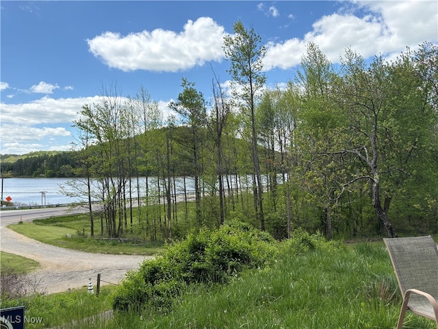 37080 Penrose Ln, Cadiz, OH 43907 - water view featuring a forest