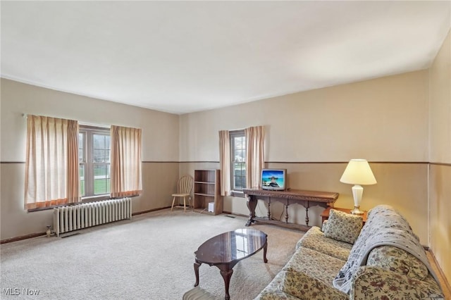 2419 Carpenter Rd, Ashtabula, OH 44004 - carpeted living area featuring radiator, plenty of natural light, and baseboards