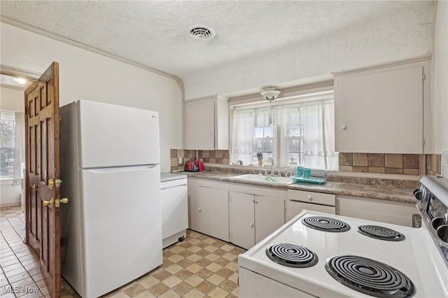 2419 Carpenter Rd, Ashtabula, OH 44004 - kitchen with light countertops, a wealth of natural light, a sink, and white appliances
