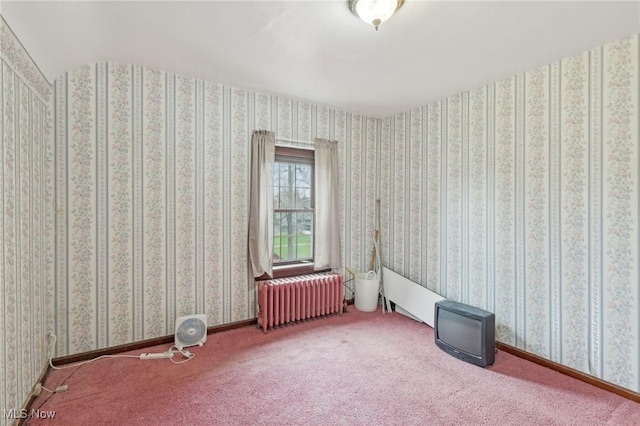 2419 Carpenter Rd, Ashtabula, OH 44004 - carpeted empty room with radiator
