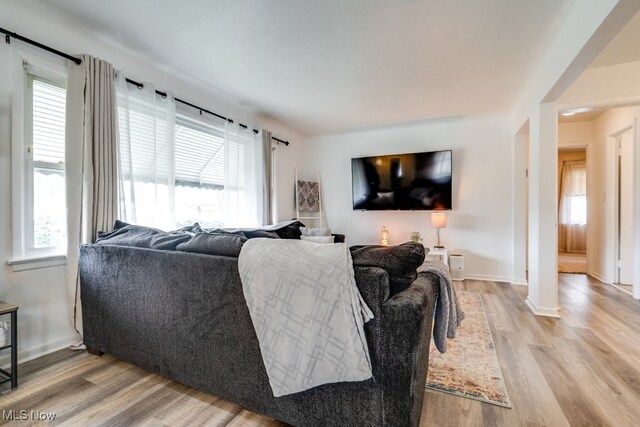 living area featuring baseboards and wood finished floors