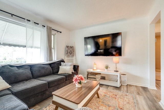 living room featuring baseboards and light wood-style floors