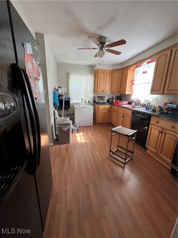 kitchen with a sink, black appliances, light wood finished floors, a ceiling fan, and dark countertops