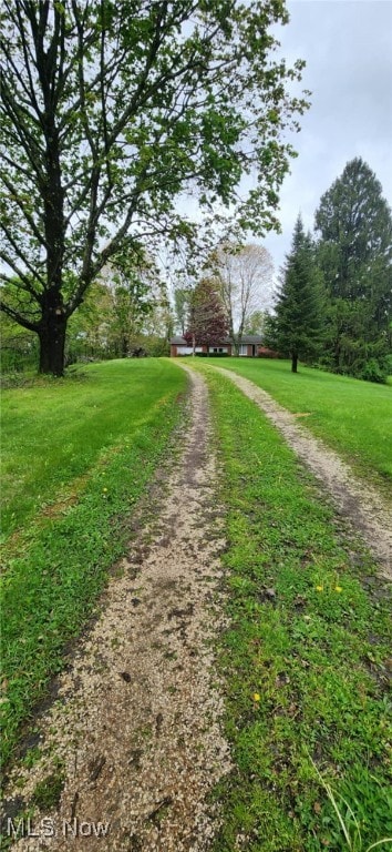 view of street with driveway