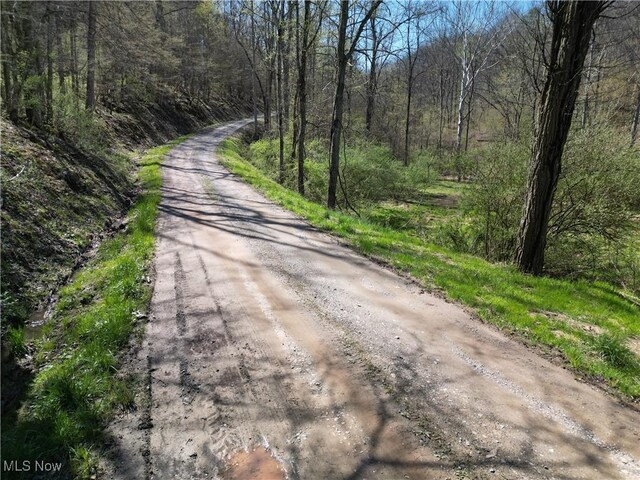 Rush Run Rd, Arnoldsburg, WV 25234