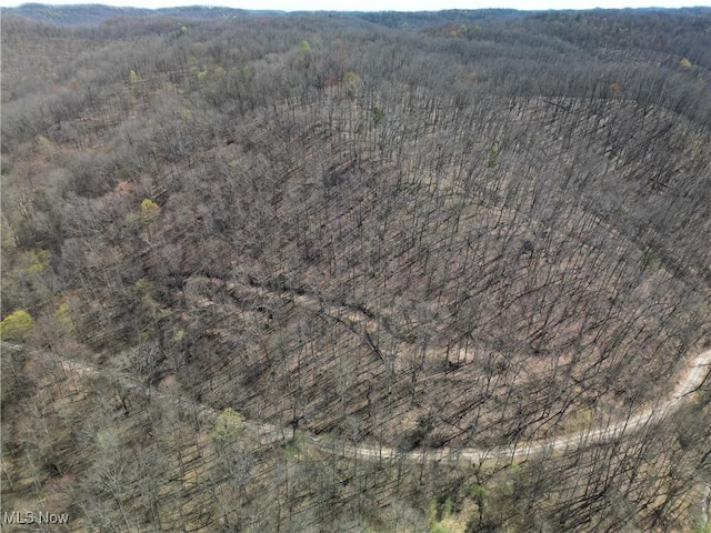 Rush Run Rd, Arnoldsburg, WV 25234