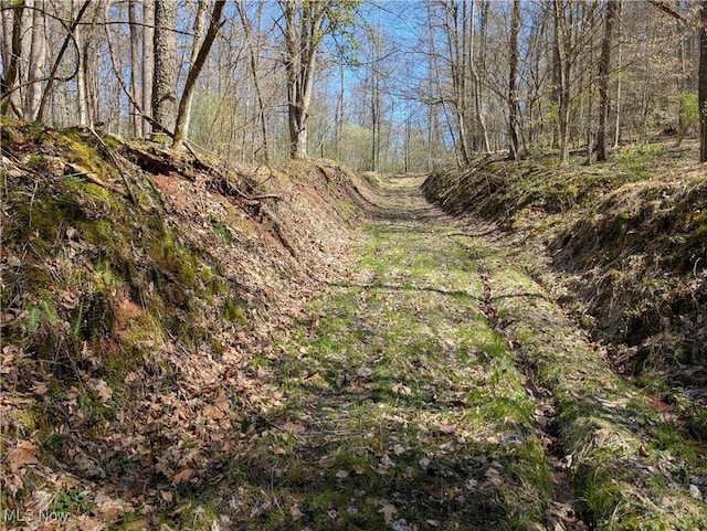 Rush Run Rd, Arnoldsburg, WV 25234