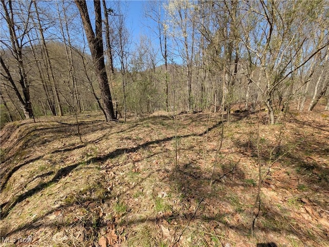 Rush Run Rd, Arnoldsburg, WV 25234