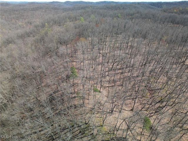 Rush Run Rd, Arnoldsburg, WV 25234