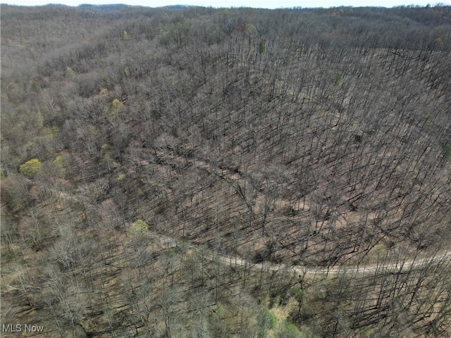 Rush Run Rd, Arnoldsburg, WV 25234